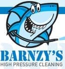 barnzys-logo